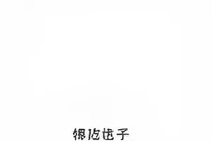 一条被折叠的置顶评论，评论区显示了它的前后状态